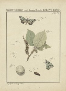 Papillons de nuit - Christiaan Sepp