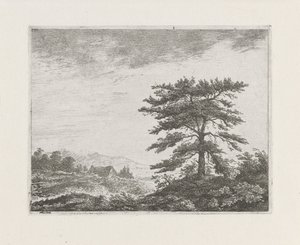 Arbre dans un paysage de bruyère - Christiaan Wilhelmus Moorrees