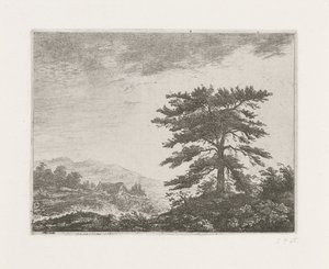 Arbre dans un paysage de bruyère - Christiaan Wilhelmus Moorrees