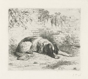 Chien couché devant un mur - Christiaan Wilhelmus Moorrees