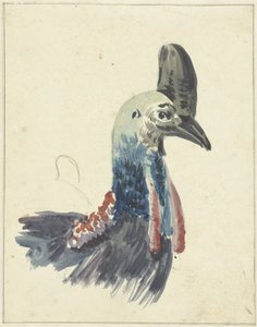 Tête du casoar - Christiaan van Geelen