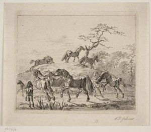 Chevaux de haras