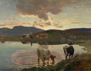 Après le coucher du soleil