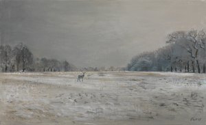 Cerfs dans la neige - Richmond Park, 2015 - Christian Furr