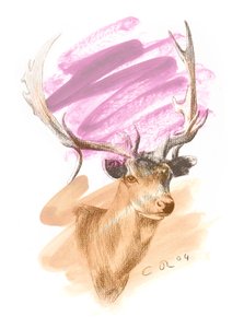 Tête de cerf - Cerise Sienne, 2004