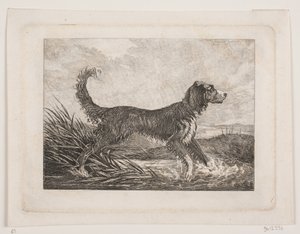 Un chien - Christian Holm