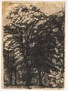 Arbres - Christian Kongstad Petersen