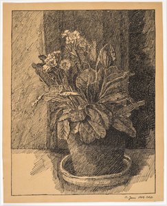 Pot de fleurs avec primevère