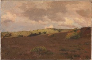 Paysage de lande. Automne - Christian Mourier Petersen