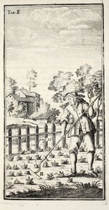 Jardinier binant, publié à Erfurt en Thuringe, 1753-55 - Christian Reicharts