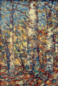 Forêt de bouleaux
