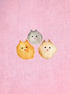 Chat rose - Christina Misuro