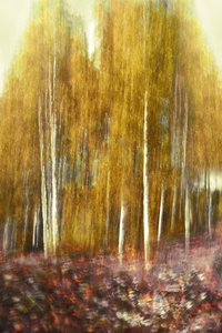 - Christina Sillen