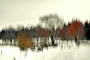 Forêt hivernale (abstraite)