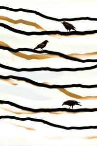 Des oiseaux sur des vagues dorées - Christina Sillen