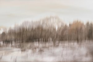 Reflet flou dans la forêt - Christina Sillen