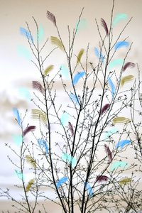 Branches abstraites colorées - Christina Sillen