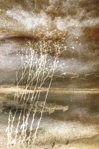  - Christina Sillen