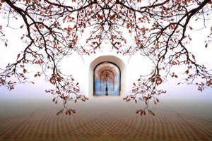 Une arche d