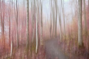  - Christina Sillen