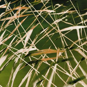La beauté dynamique de la nature - Christina Sillen