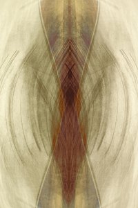 Symétrie fluide et terre-à-terre - Christina Sillen