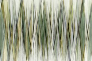 Lignes géométriques aux tons terreux - Christina Sillen