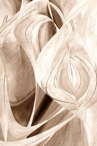 Des courbes élégantes et fluides - Christina Sillen