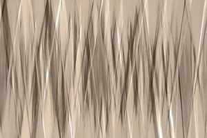 Lignes fluides et neutres - Christina Sillen