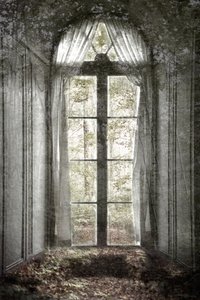 La fenêtre de la forêt oubliée - Christina Sillen