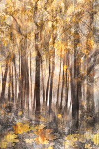  - Christina Sillen