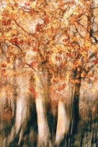 - Christina Sillen