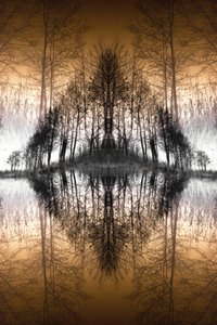 Le lac de la Forêt Miroir - Christina Sillen