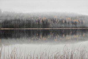 Lac brumeux d