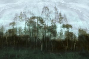 Rêve de la forêt brumeuse - Christina Sillen