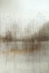 Reflets dans la forêt brumeuse