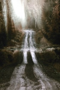 La route de la forêt brumeuse - Christina Sillen