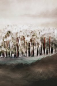 La sérénité de la forêt brumeuse - Christina Sillen