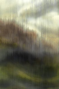 La forêt de Misty Mountain - Christina Sillen