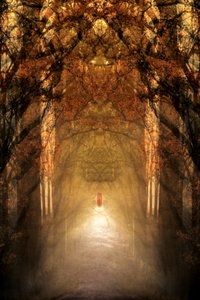 Le tunnel de la forêt mystique - Christina Sillen