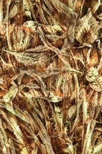Motif de camouflage naturel - Christina Sillen