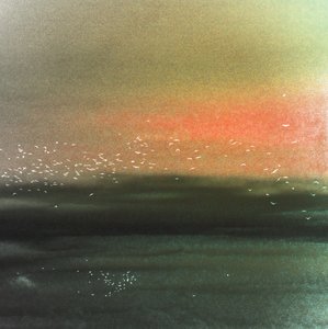 Oiseaux marins et ciel rouge - Christina Sillen