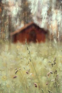 Champ paisible près de la grange - Christina Sillen