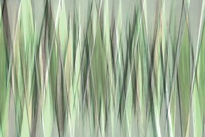 Lames vertes sereines - Christina Sillen