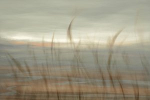 Horizon de plage douce - Christina Sillen