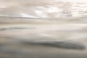 Chant du cygne à la brume - Christina Sillen