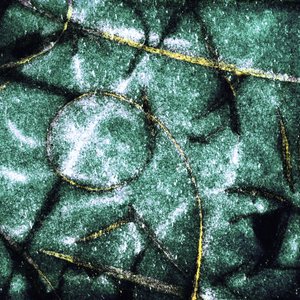 Cercles verts texturés - Christina Sillen