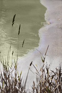 Herbe des rives paisibles - Christina Sillen