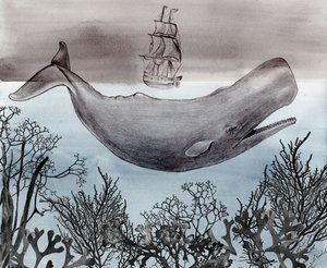 Navire de recherche sur les baleines en haute mer - Christine Lindstrom
