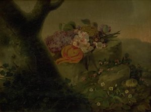 Fleurs sur une pierre